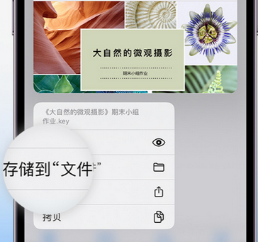 襄州apple维修中心分享iPhone文件应用中存储和找到下载文件