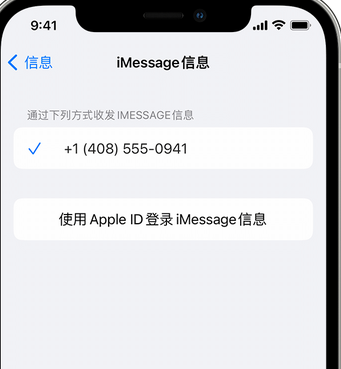 襄州apple维修iPhone上无法正常发送iMessage信息 