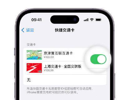 襄州apple维修点分享iPhone上更换Apple Pay快捷交通卡手绘卡面 