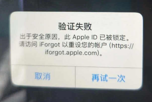 襄州iPhone维修分享iPhone上正常登录或使用AppleID怎么办 