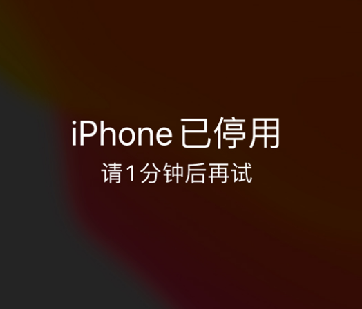 襄州苹果手机维修分享:iPhone 显示“不可用”或“已停用”怎么办？还能保留数据吗？ 