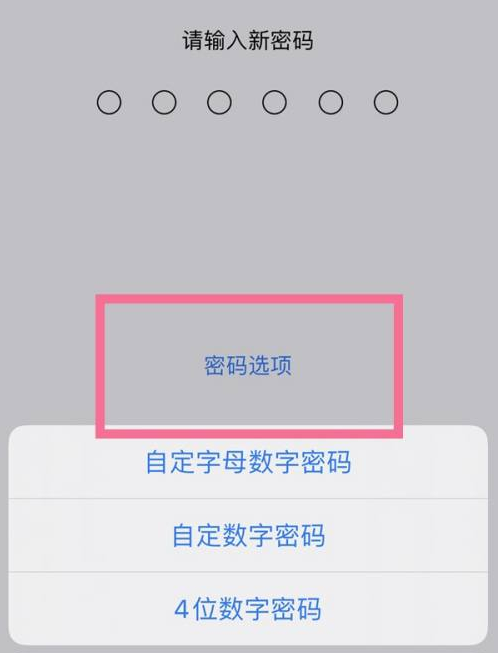 襄州苹果14维修分享iPhone 14plus设置密码的方法 