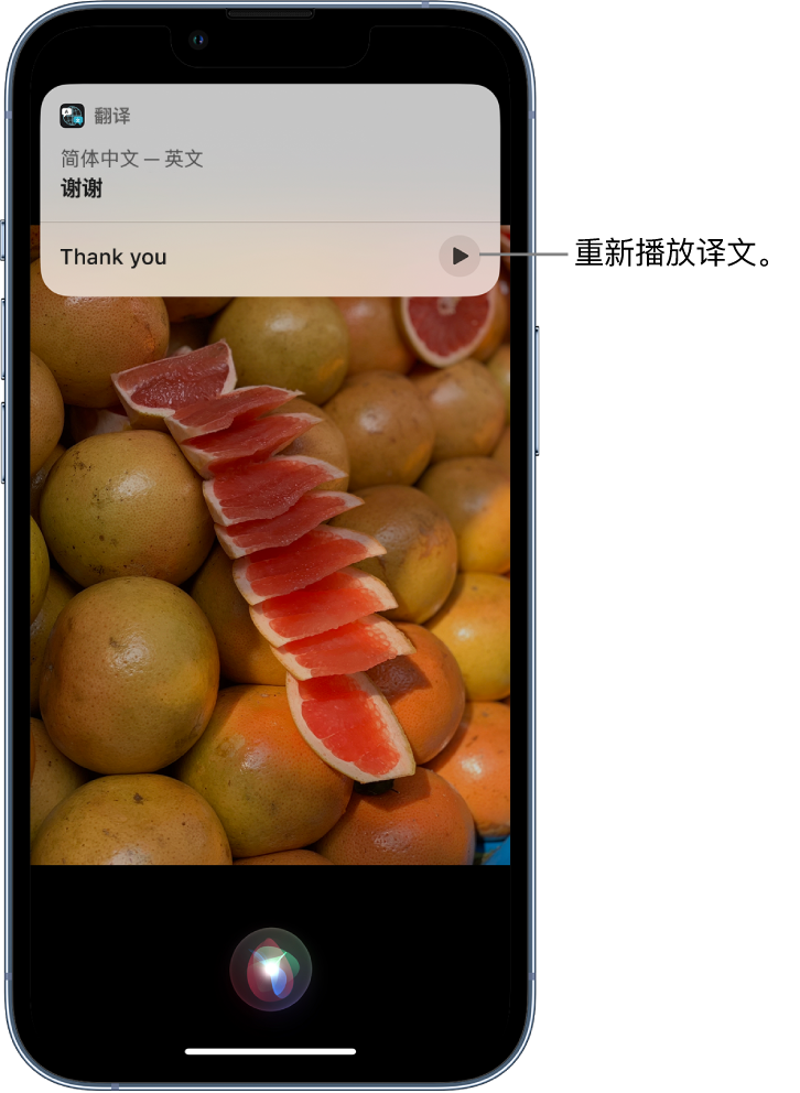 襄州苹果14维修分享 iPhone 14 机型中使用 Siri：了解 Siri 能帮你做什么 