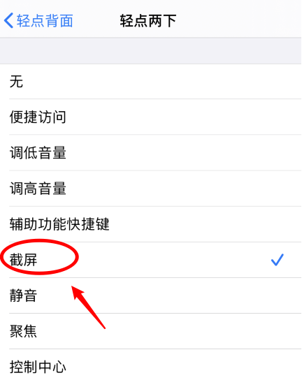 襄州苹果手机维修分享iPhone12如何启用双击截屏 
